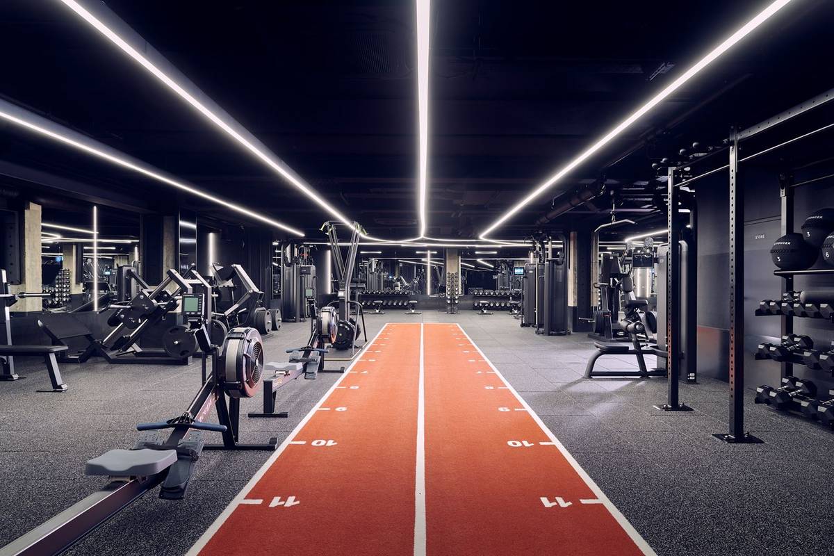 Elite strength insights at scale